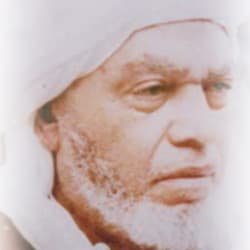 محمد الحافظ